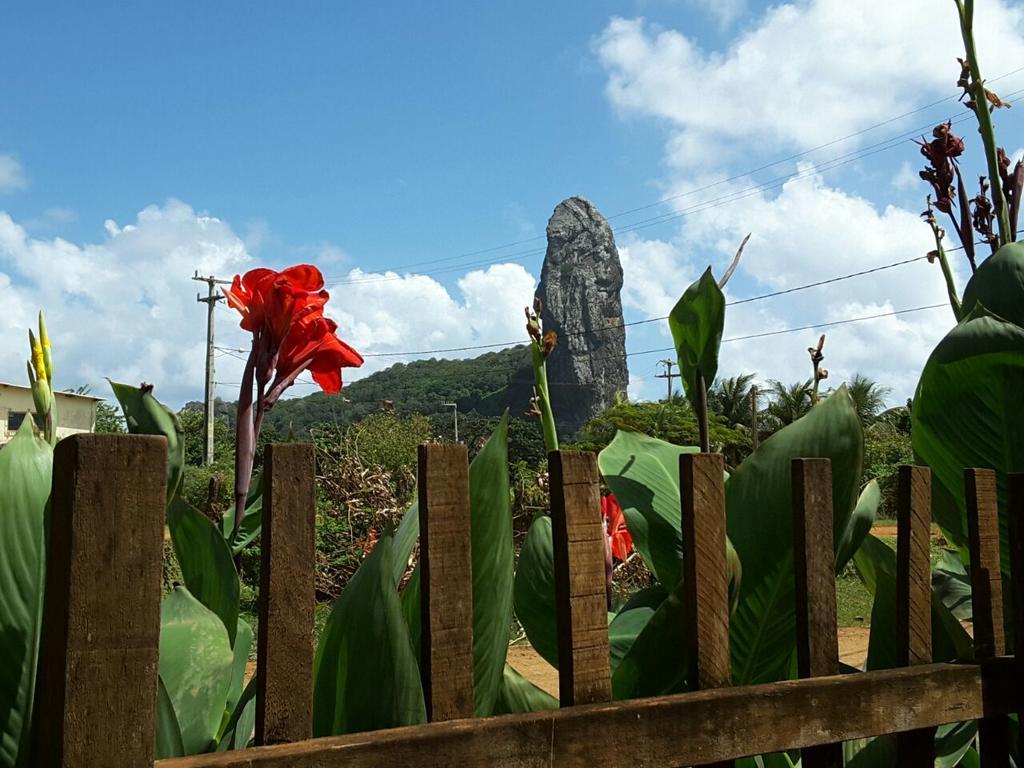 Pousada Morro Do Pico 费尔南多 - 迪诺罗尼亚 外观 照片