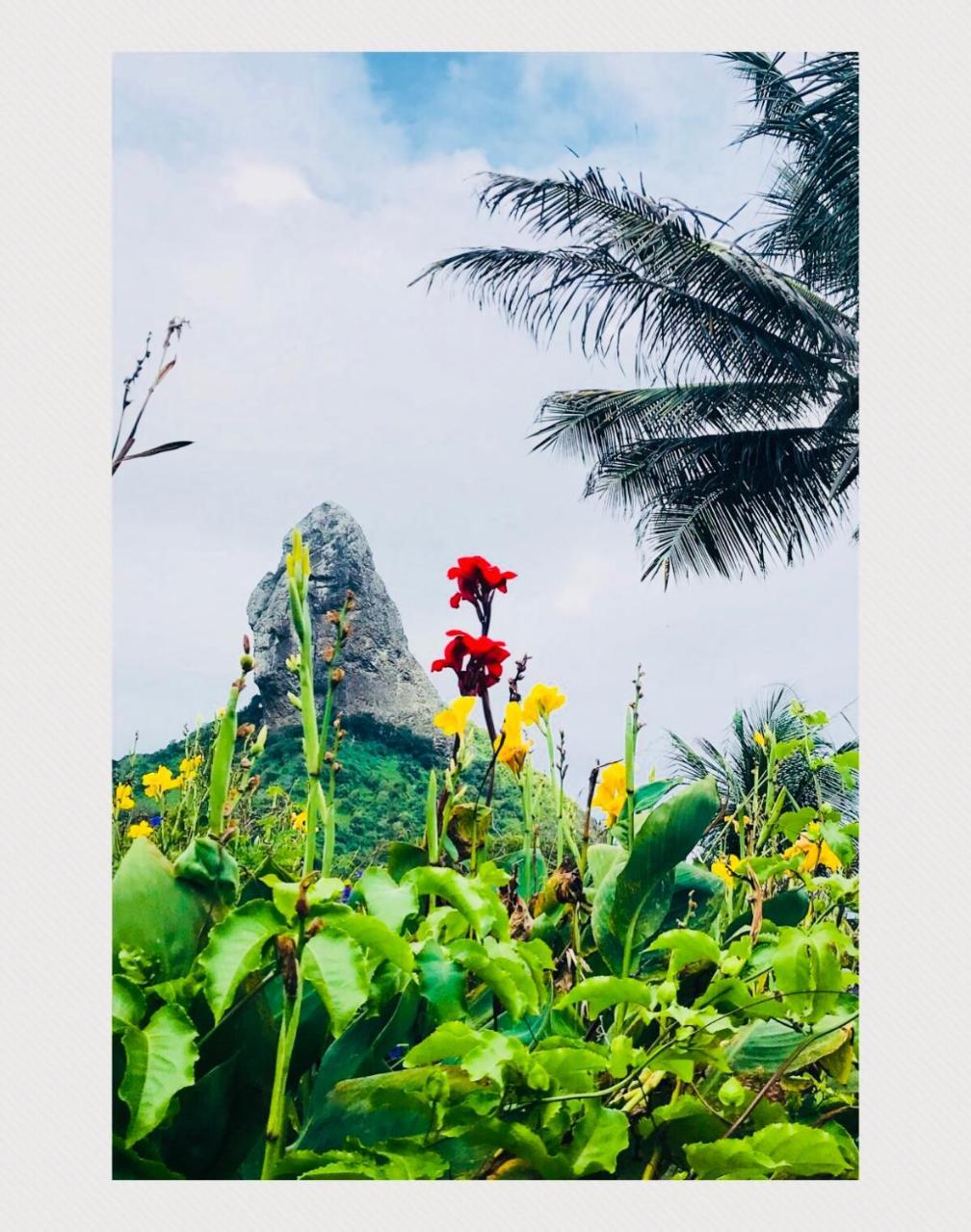 Pousada Morro Do Pico 费尔南多 - 迪诺罗尼亚 外观 照片